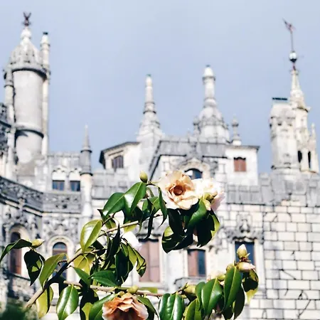 Prázdninový dům Cozy House In Peniche, 30 M² With Sea View Peniche